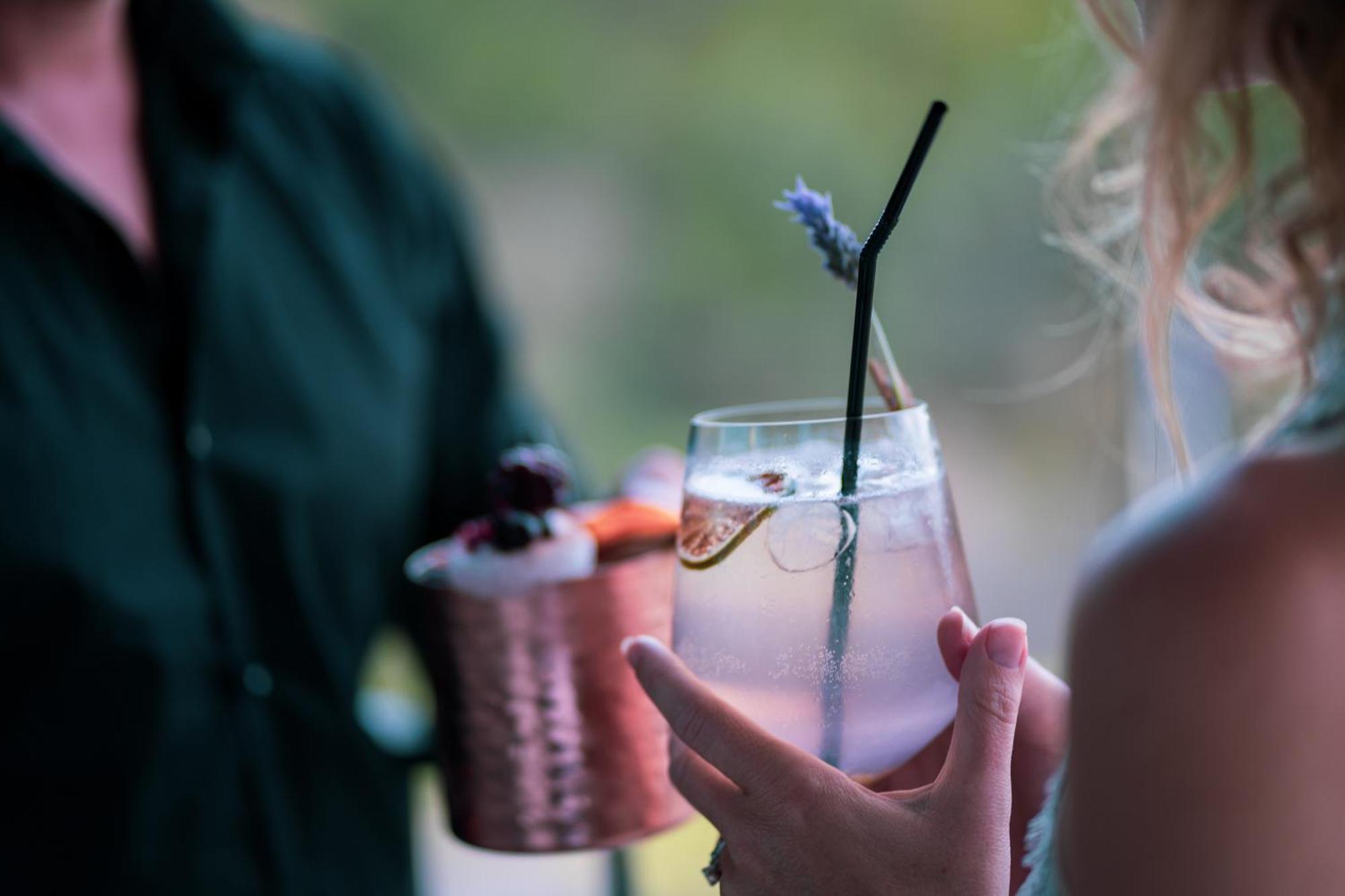 Monchique Resort & Spa Bagian luar foto A lavender cocktail